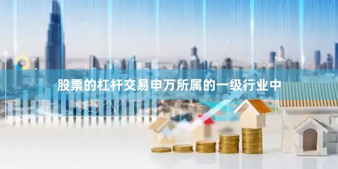 股票的杠杆交易申万所属的一级行业中