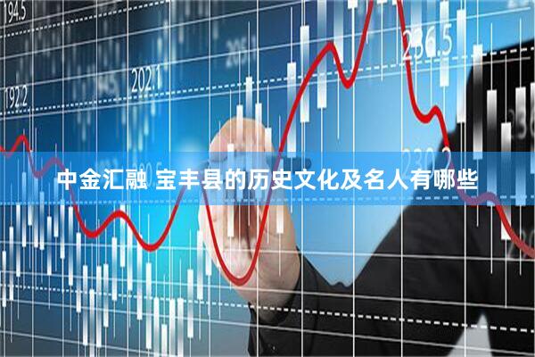 中金汇融 宝丰县的历史文化及名人有哪些