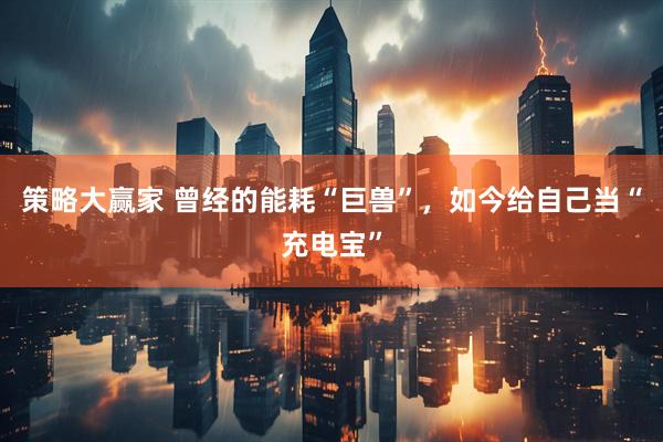 策略大赢家 曾经的能耗“巨兽”，如今给自己当“充电宝”