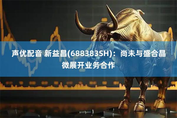 声优配音 新益昌(688383SH)：尚未与盛合晶微展开业务合作