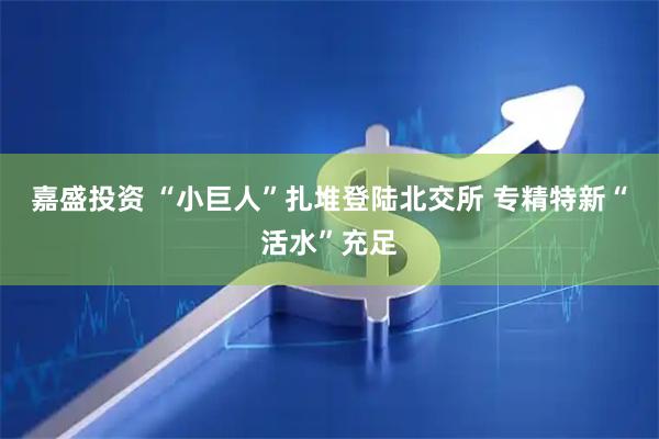 嘉盛投资 “小巨人”扎堆登陆北交所 专精特新“活水”充足