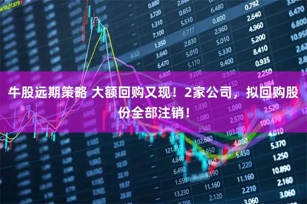 牛股远期策略 大额回购又现！2家公司，拟回购股份全部注销！